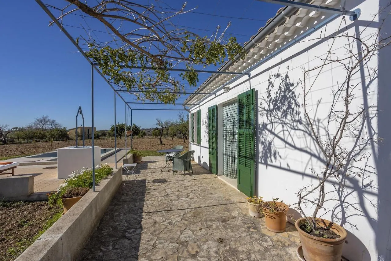 Finca Faustina Only Adults In Selva Country house Selva (Mallorca)